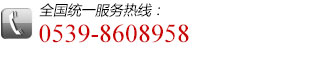 全國(guó)統(tǒng)一服務(wù)熱線:0539-8608958